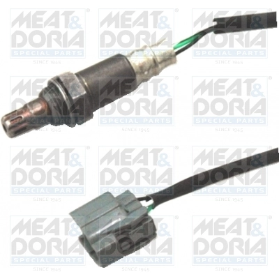 Oxygen Sensor